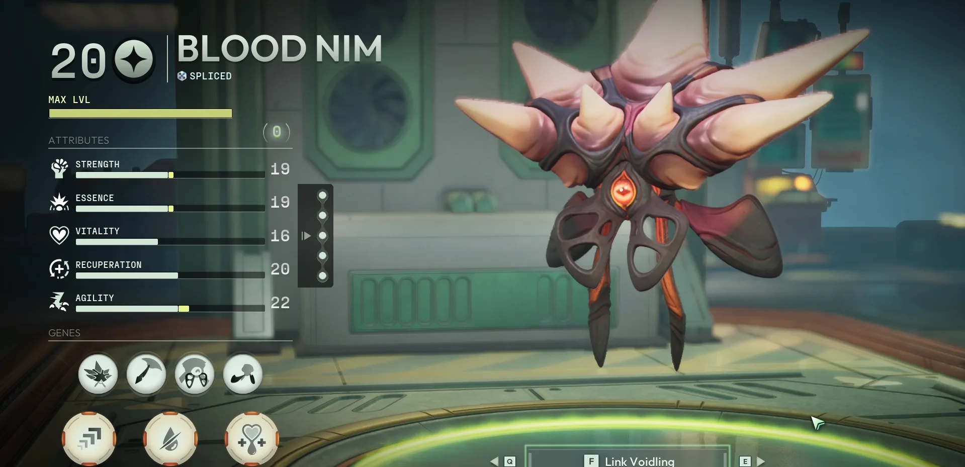 blood nimiod 