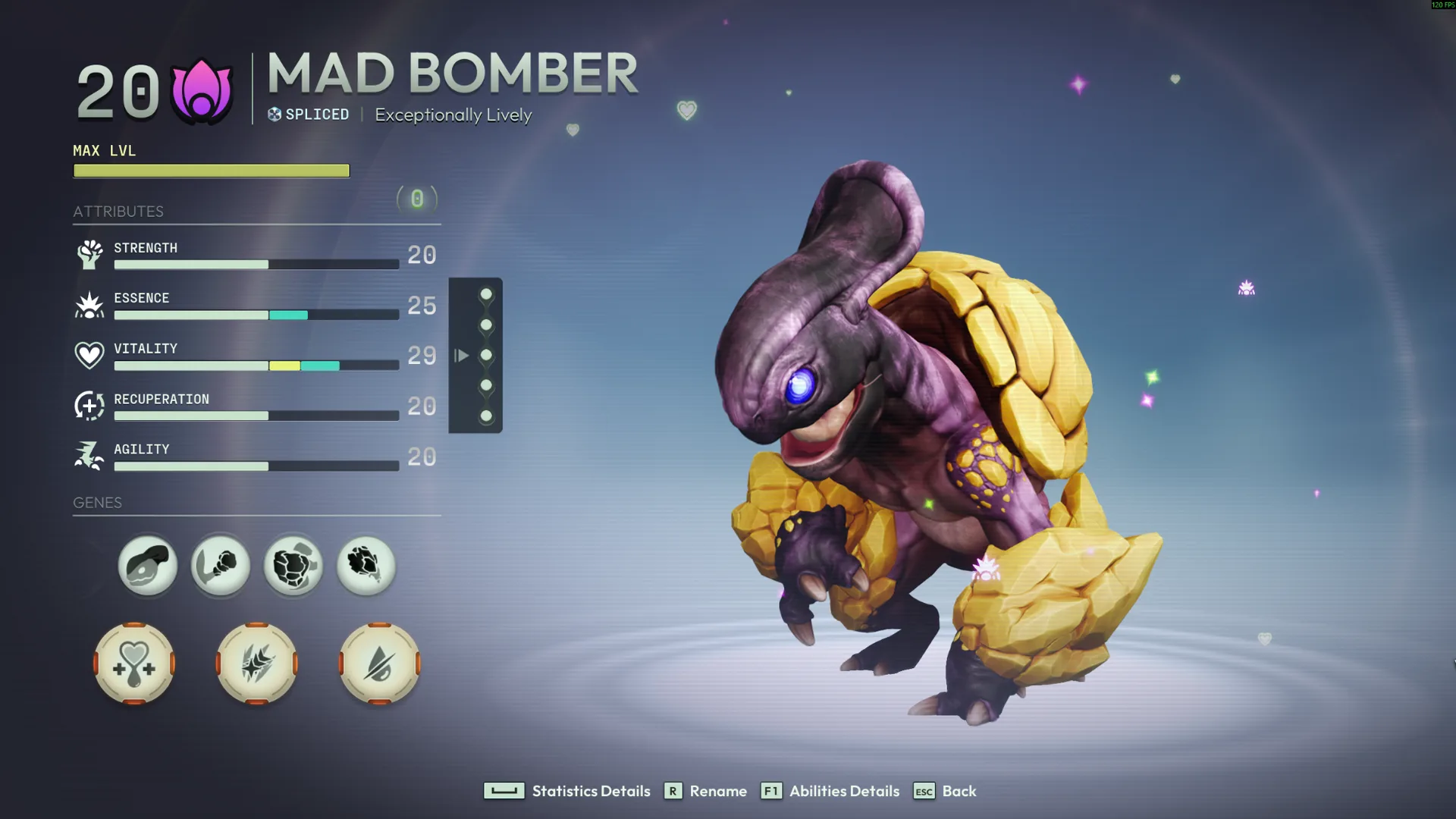 Mad Bomber Kerapin
